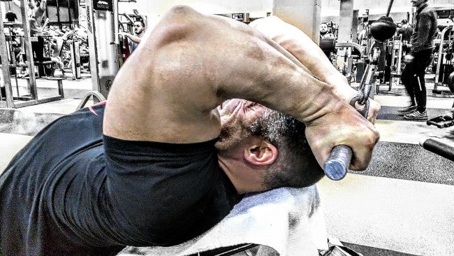 Primary Back &amp; Biceps