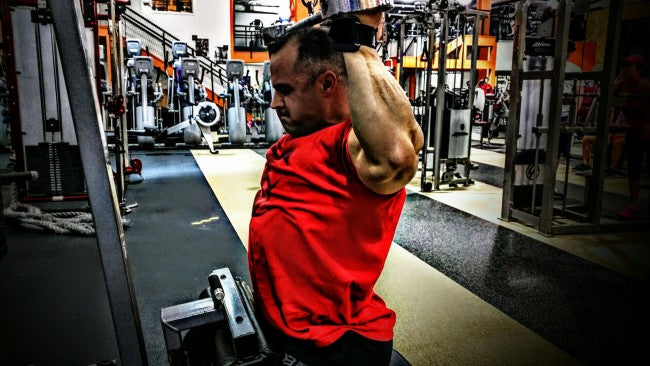 Primary Back &amp; Biceps