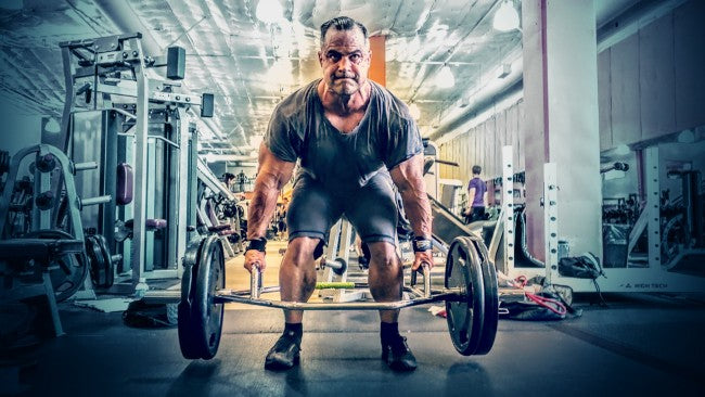 Primary Back &amp; Biceps