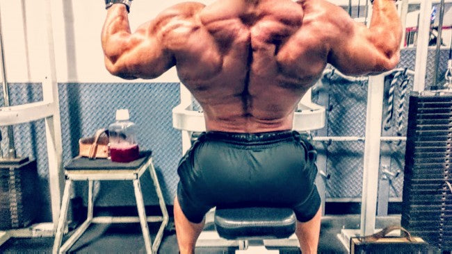 Primary Back &amp; Biceps