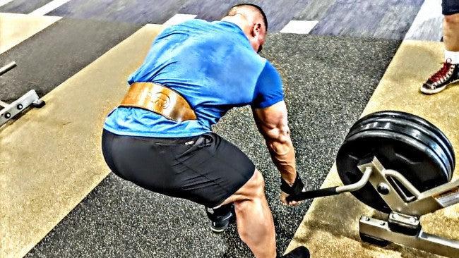 Back &amp; Biceps
