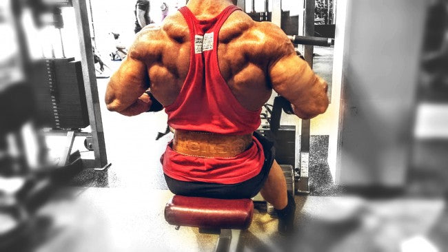 Monday Night's Back &amp; Biceps