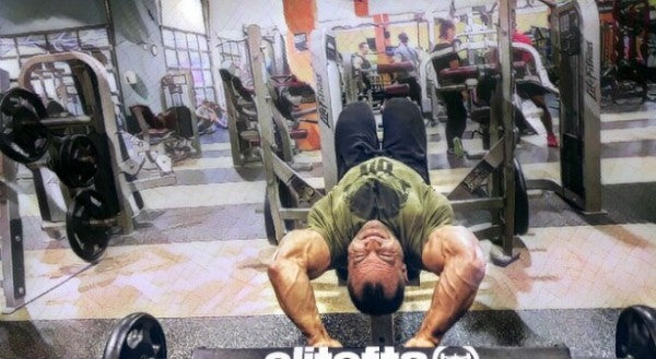 Back &amp; Biceps