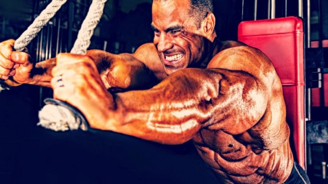 Chest, Shoulders &amp; Triceps