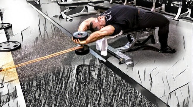 Back &amp; Biceps