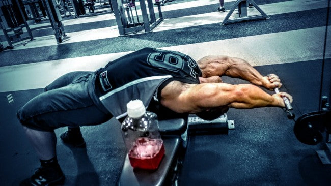 Primary Back &amp; Biceps