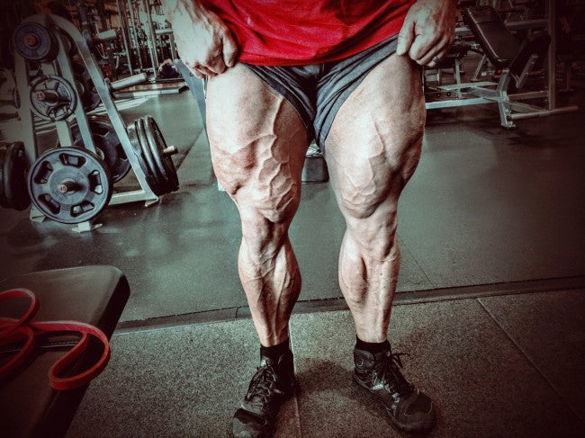 Leg Training