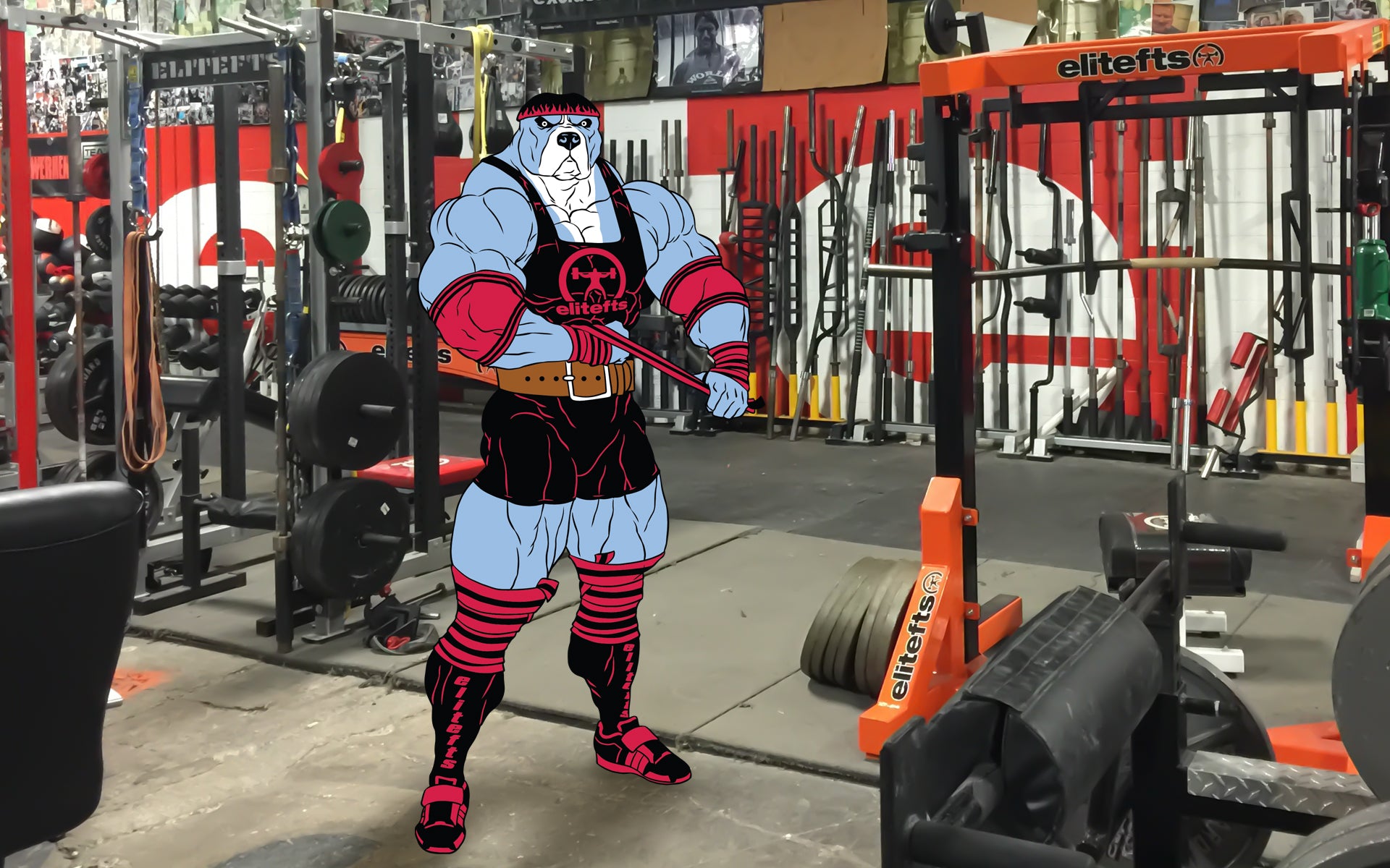 RawDog