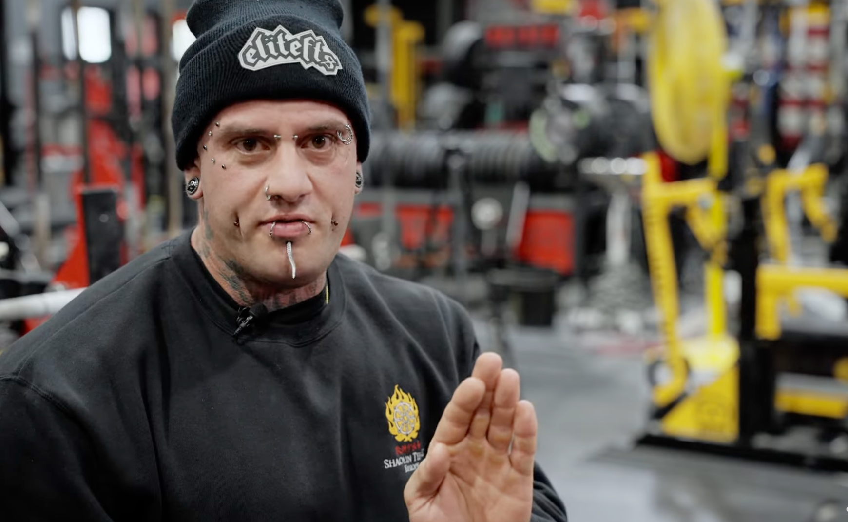 Tom Sheppard Hand Up 