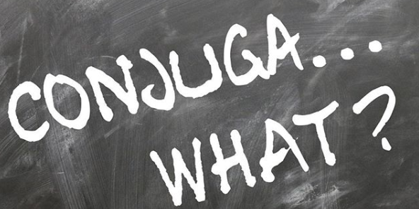 CONJUGATE TRAINING FACTS