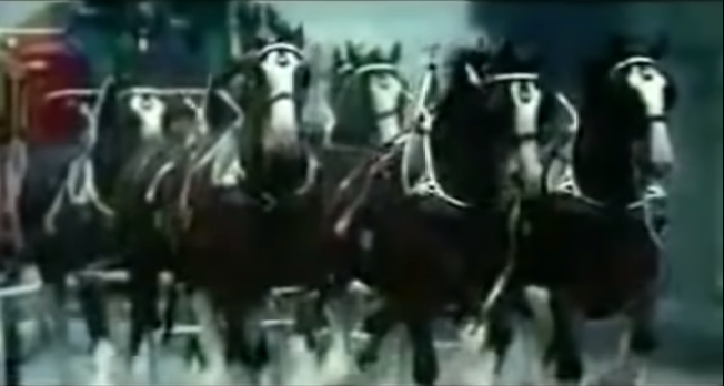 9/11 Tribute Commerical