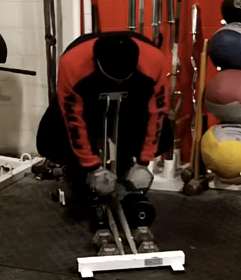 Rear Delt Destroyers