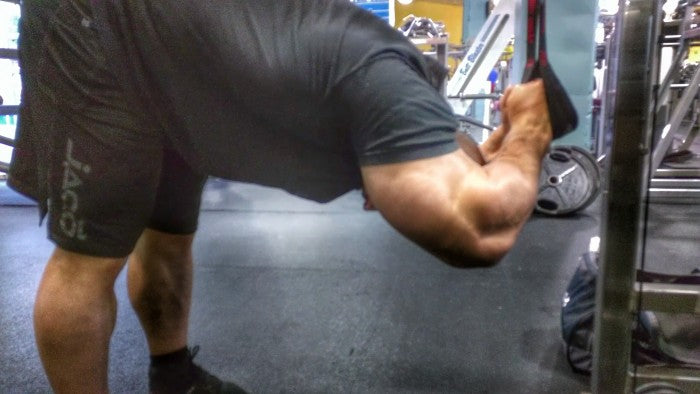 Biceps &amp; Triceps Training