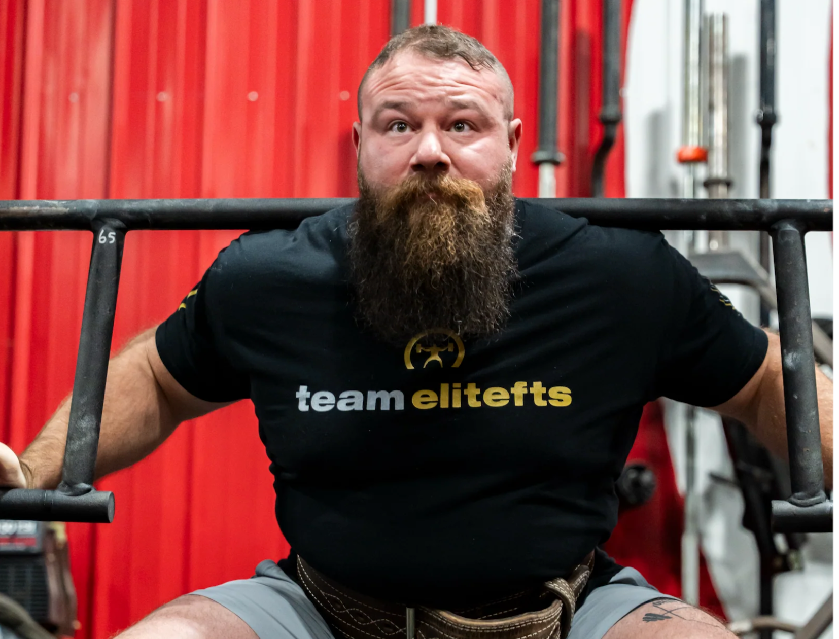 rackable cambered squat bar 