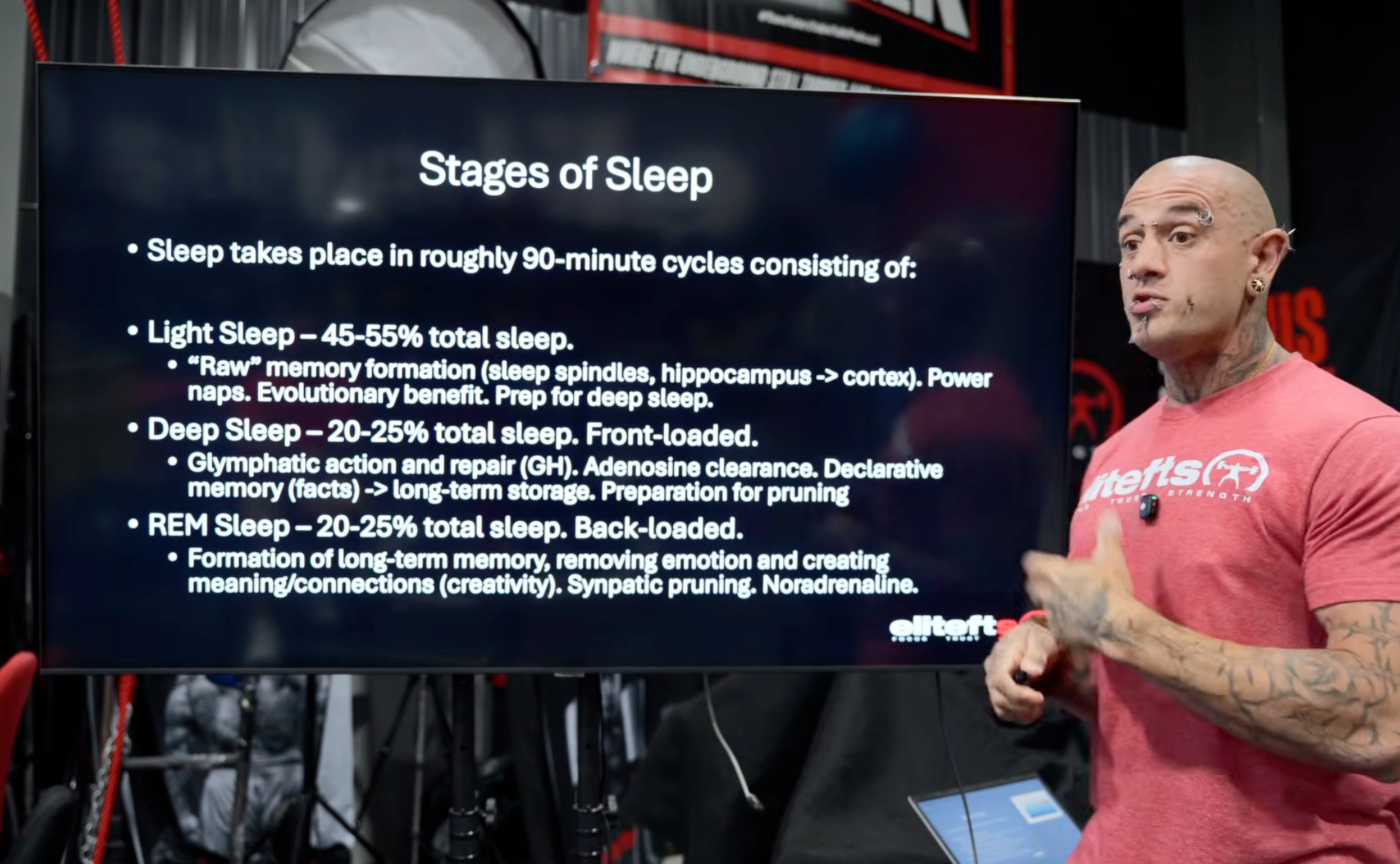 sleep stages 