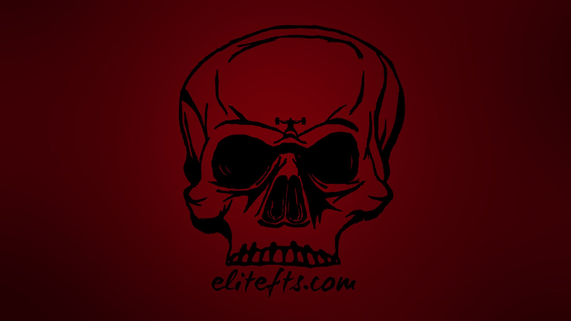 Deadlift Training - Pernicious Powerlifting