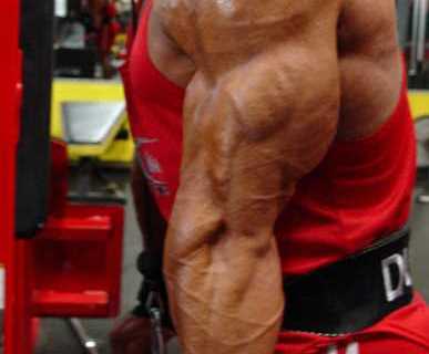 Chest, Triceps, Abs and Calves