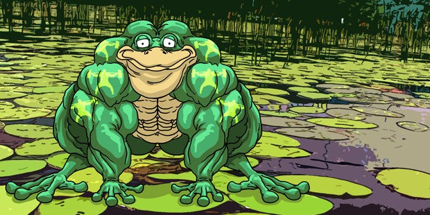 Trends ot Trenches. What Matters Most In The Training Process?