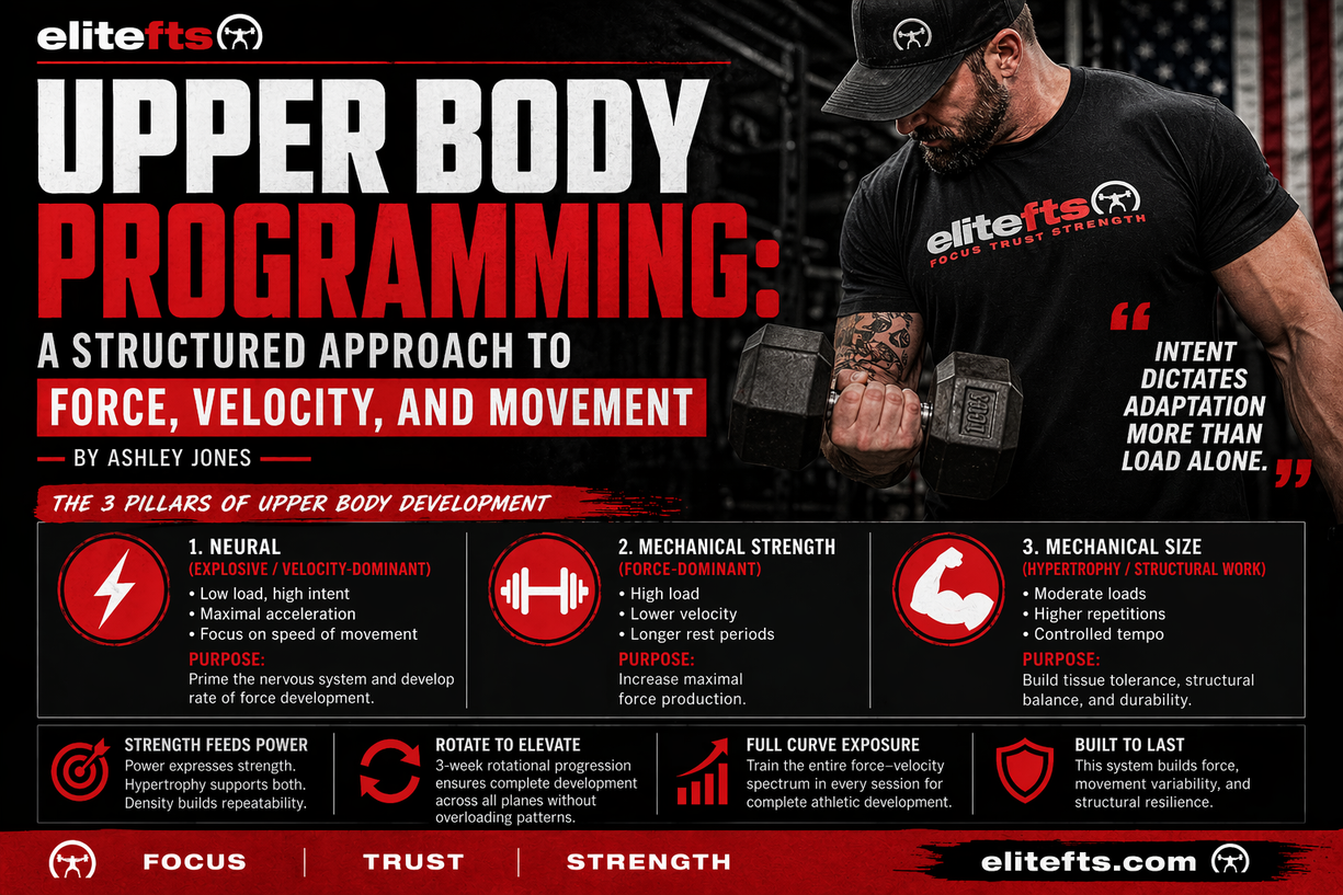 Upper Body Programming: A Structured Approach to Force, Velocity, and ...