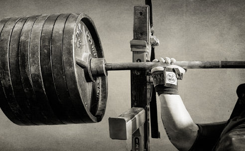 athlete training logs