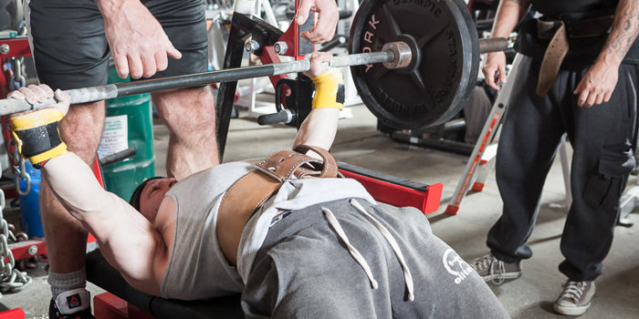 Dynamic Effort Upper: Speed Bench, Quick Back Accessory