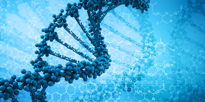 How To Get More from Your Protein Smoothie