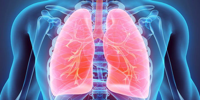 Breathing IS NOT Bracing