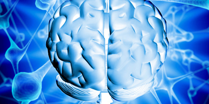 How to Know If You Should Be Using VBT