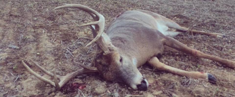 6 Weeks Out - Paused Front Squats, Seated Axle Press &amp; a Hunting Story?