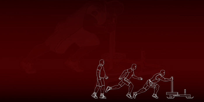 December's GPP for Your Business