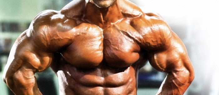 Primary Chest &amp; Shoulders 2.8.15