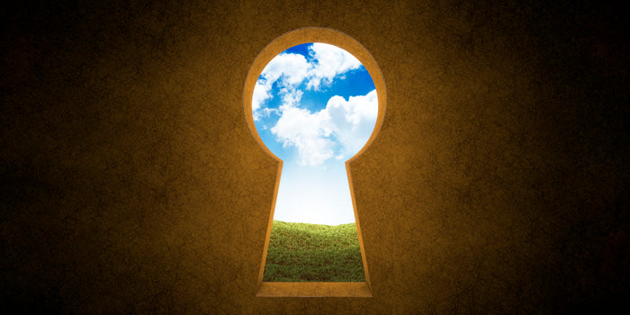 Connect By Entering Their World