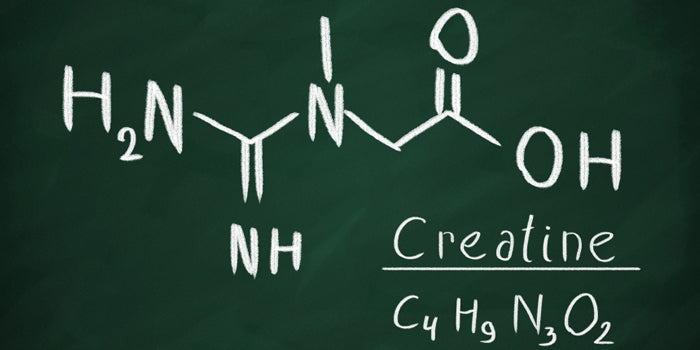Did Creatine Monohydrate Cause 'Supplement Rage' in South Carolina Police Officer?