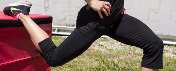 Muscular Development Training Bytes by Thomas Fahey and Steve Blechman