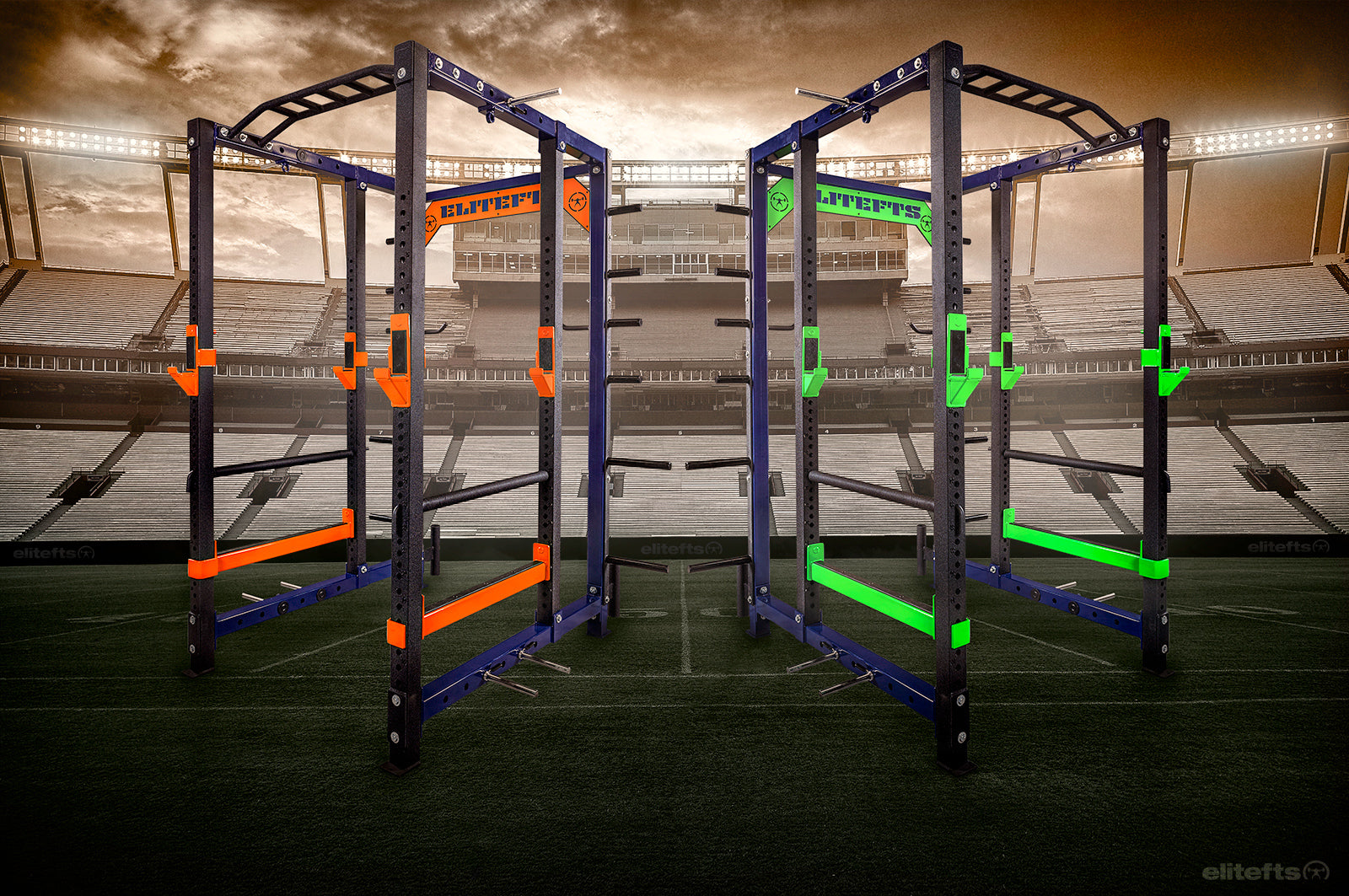 DAILY MOVEMENT - Z Press