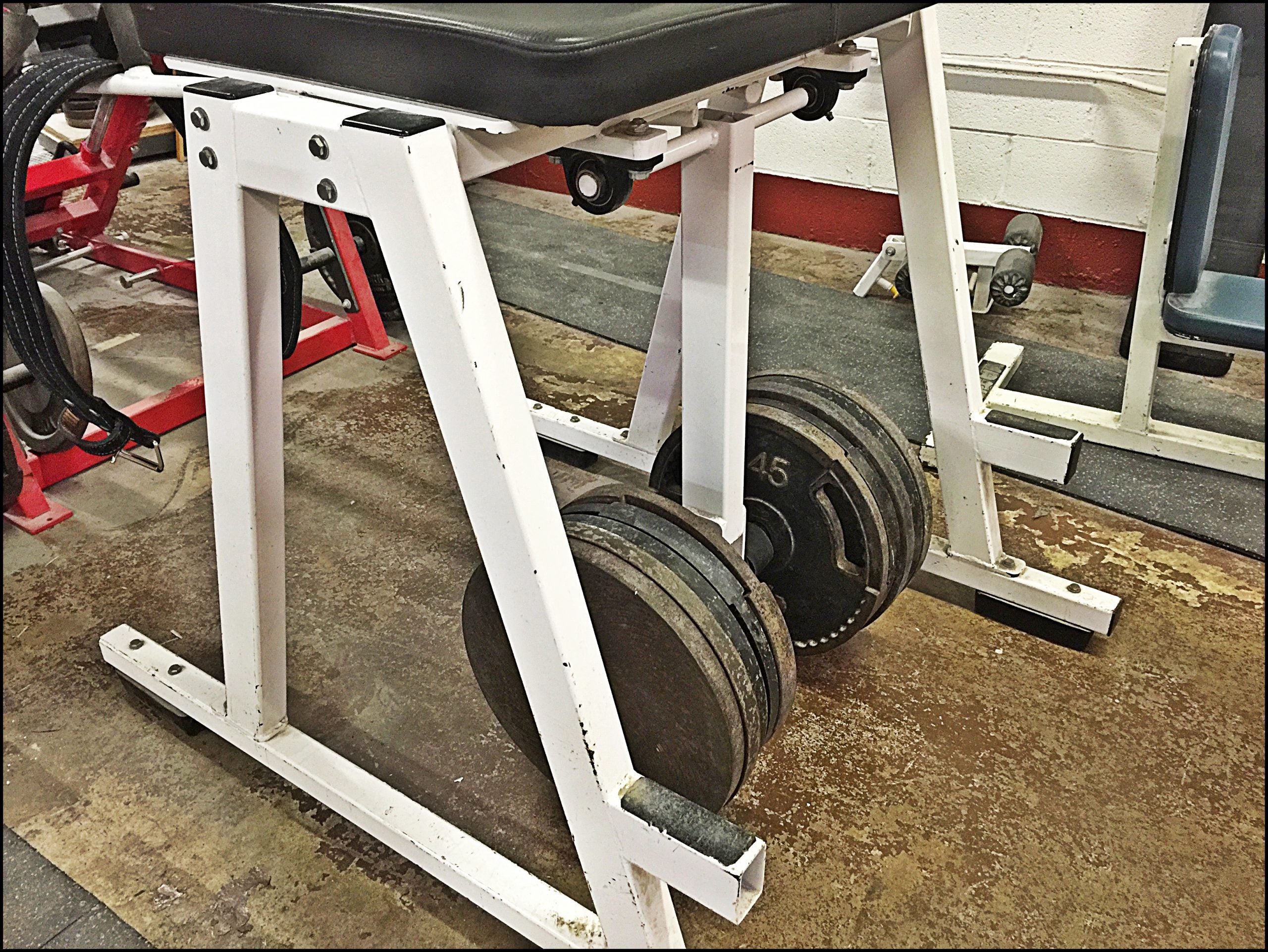 DAILY MOVEMENT - Reverse Hyper Rows to Stomach