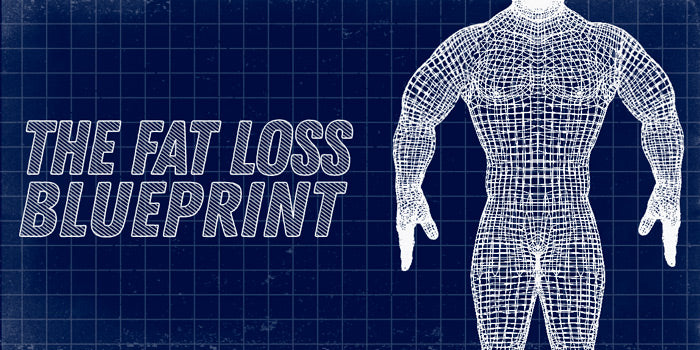 The Fat Loss Blueprint