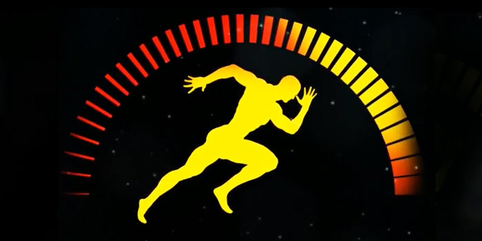 Real People, Real Results — 8 Lessons in Training, Nutrition, and Business