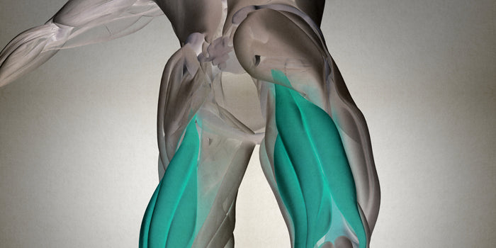 STANDING SINGLE LEG CURL