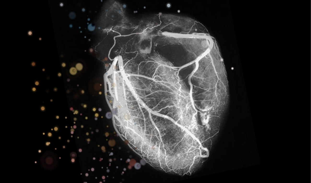 Do Your Cardio and Get Stronger!