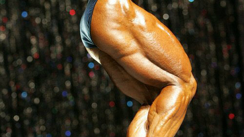 Bodybuilding Day: Leg Training