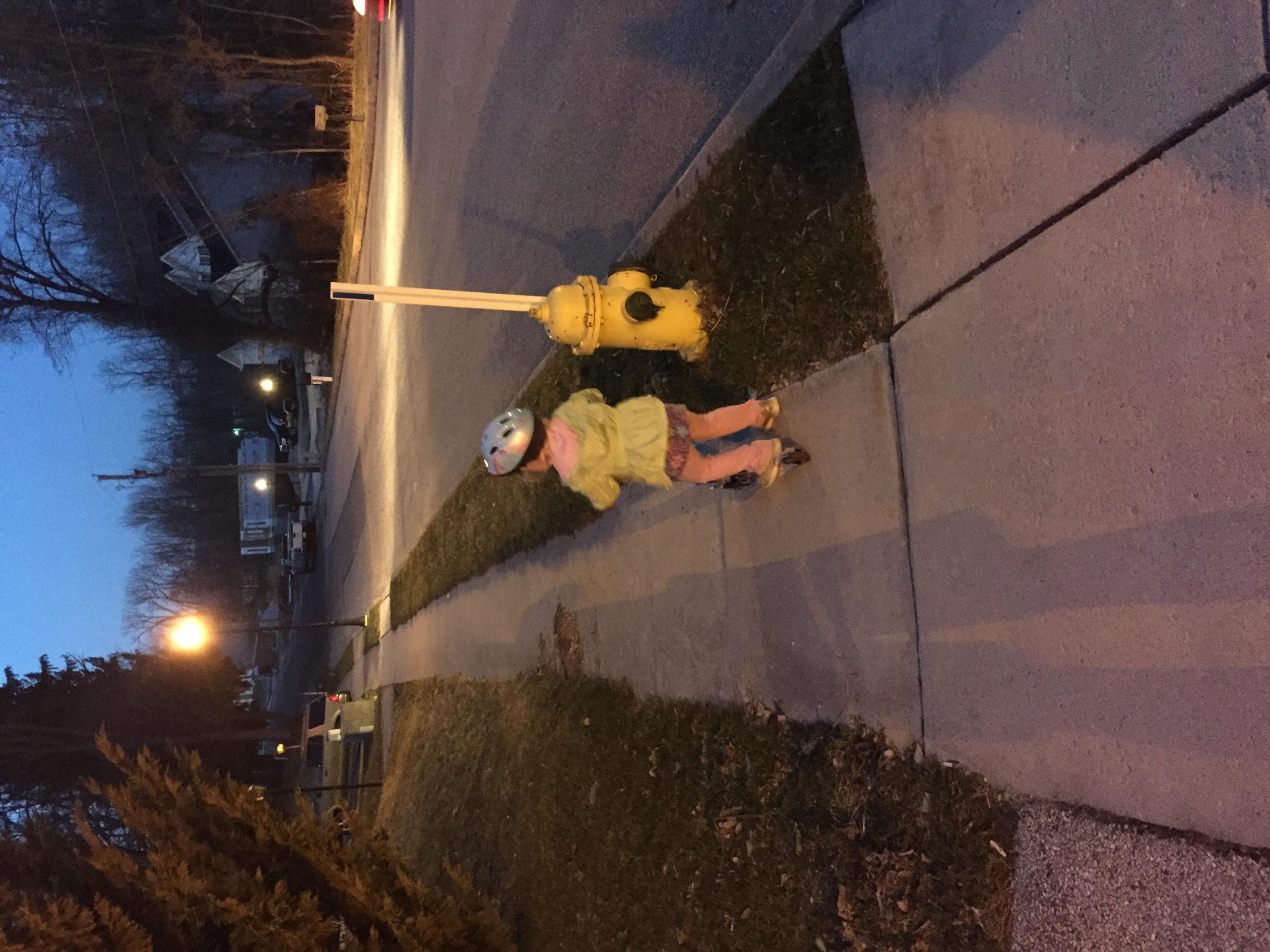 Cardio, core, recovery, and assistance day