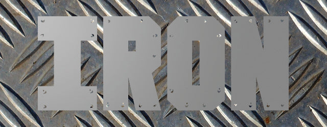 IRON: How to Take Control of Life and Live It on Our Terms