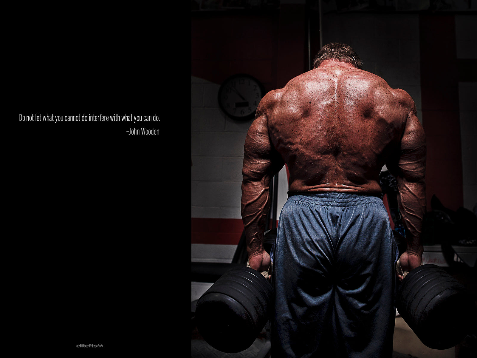 back