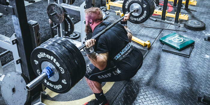 The Stretch Reflex: A Power Generator or Not?