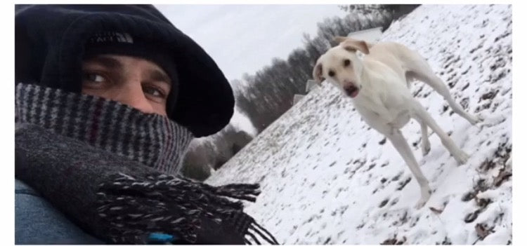 Don't Let Your Dog Get Fat This Winter