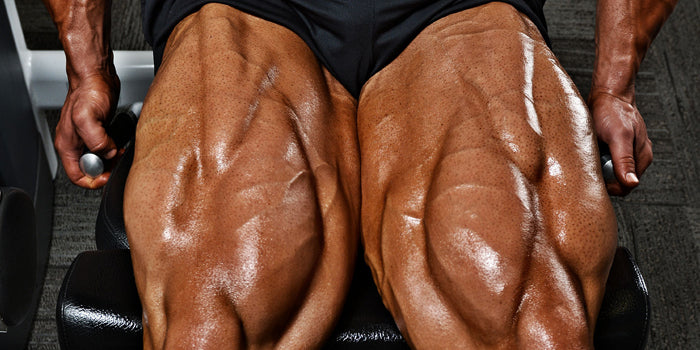 Week 2 Day 4 - Leg Day....