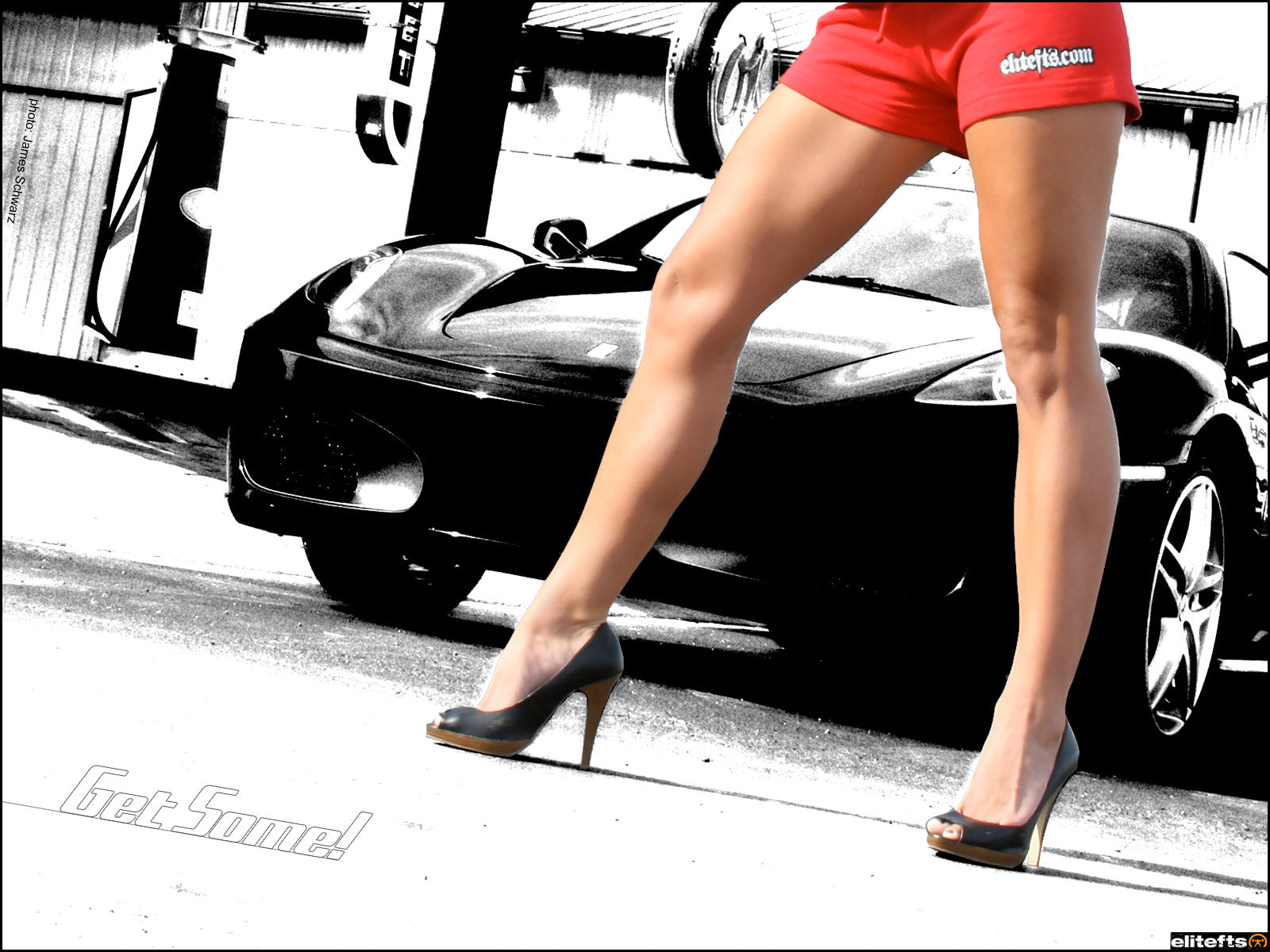 legs