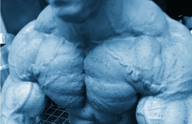 Extended Tension Muscle Building Phase