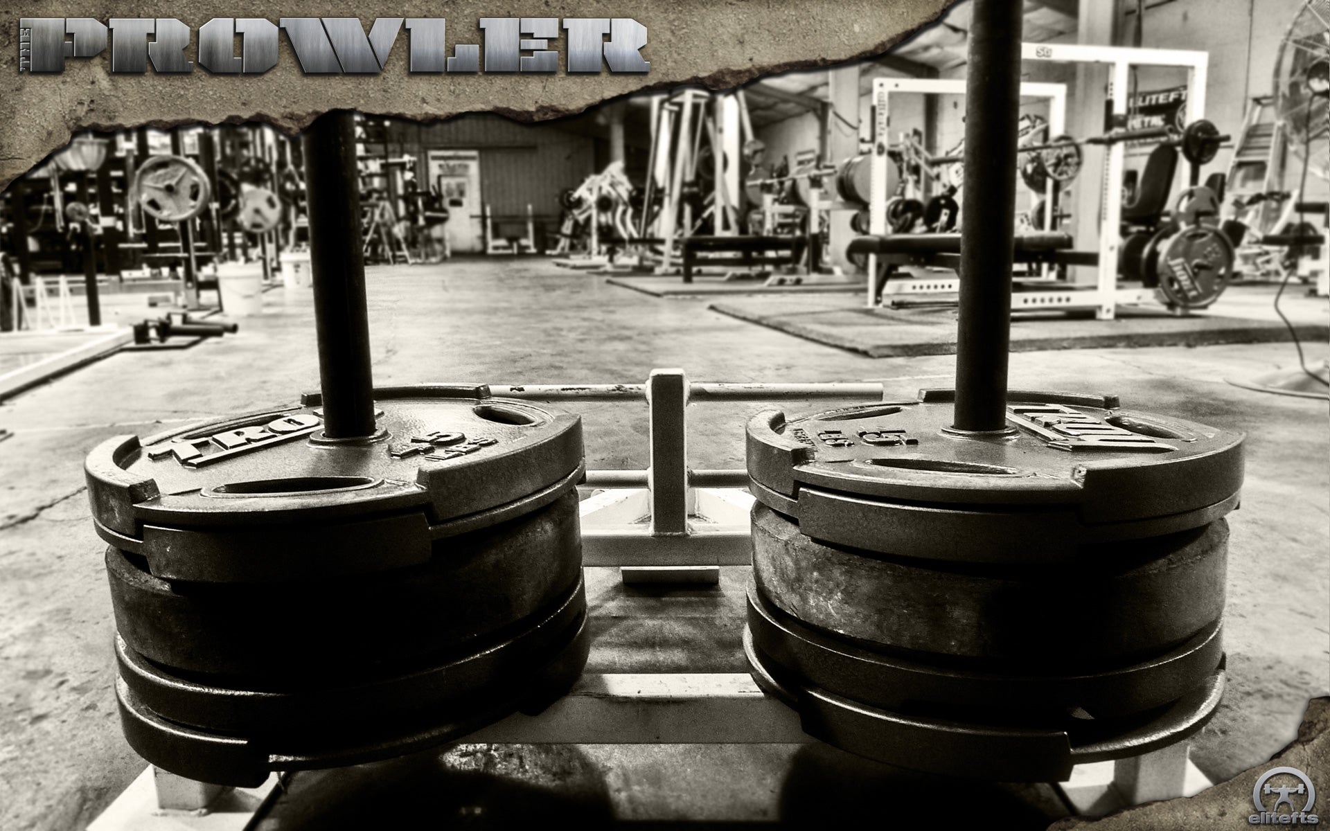 elitefts prowler